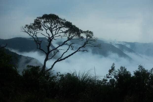 Vista dos cânions  subindo a  Serra Geral,  que liga as cidade de Praia Grande SC e Cambara do Sul, RG, Foto Joel Silva / Folhapress. 